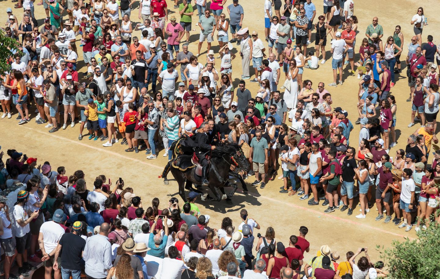 A Ciutadella, Sant Joan fa bategar la ciutat entre cavalls, multitud i tradició menorquina A Ciutadella, Sant Joan fa bategar la ciutat entre cavalls, multitud i tradició menorquina