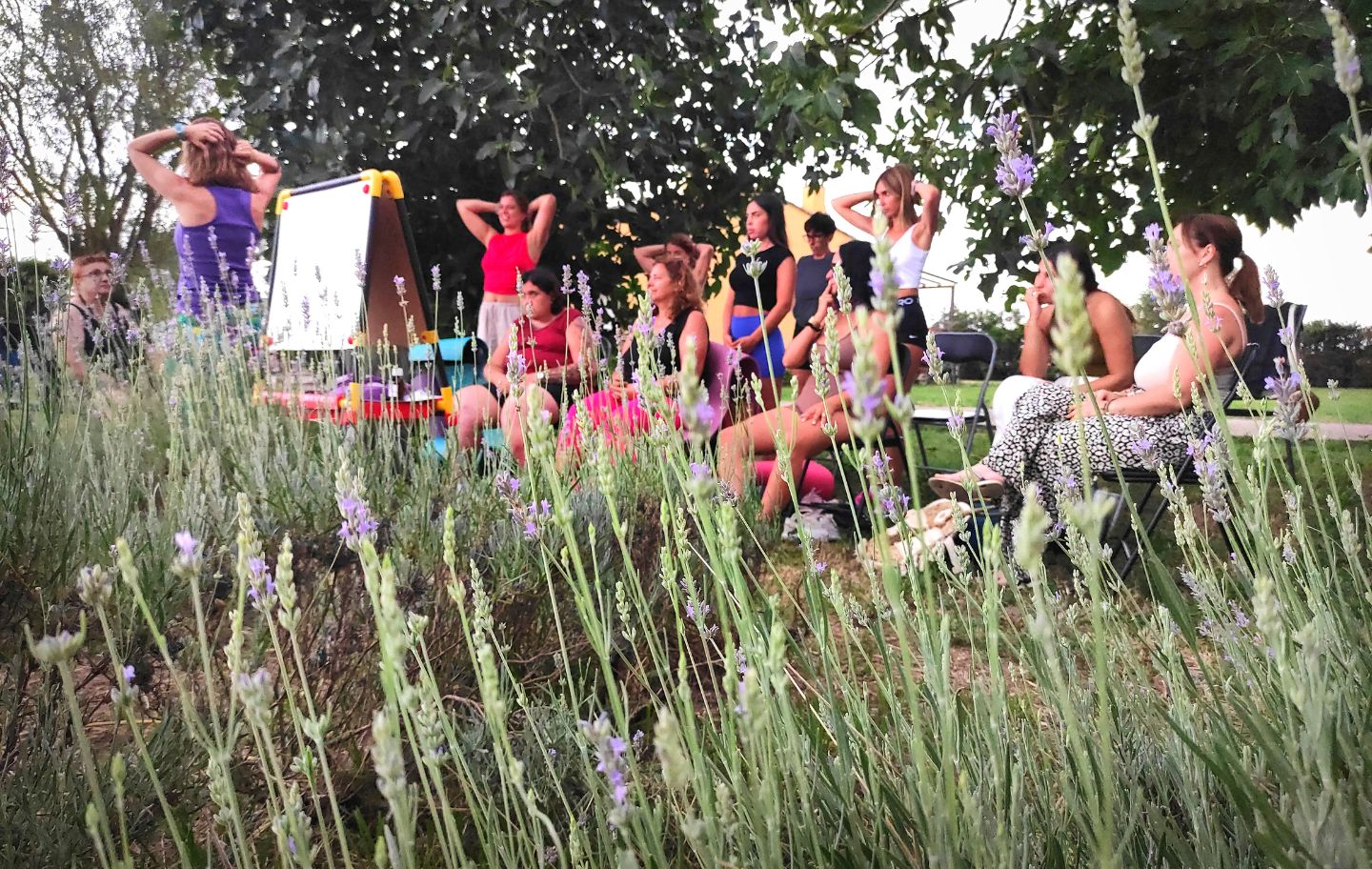 Un taller per connectar cos i ment entre aromes i silenci, amb un tast de mel inclòs Un taller per connectar cos i ment entre aromes i silenci, amb un tast de mel inclòs