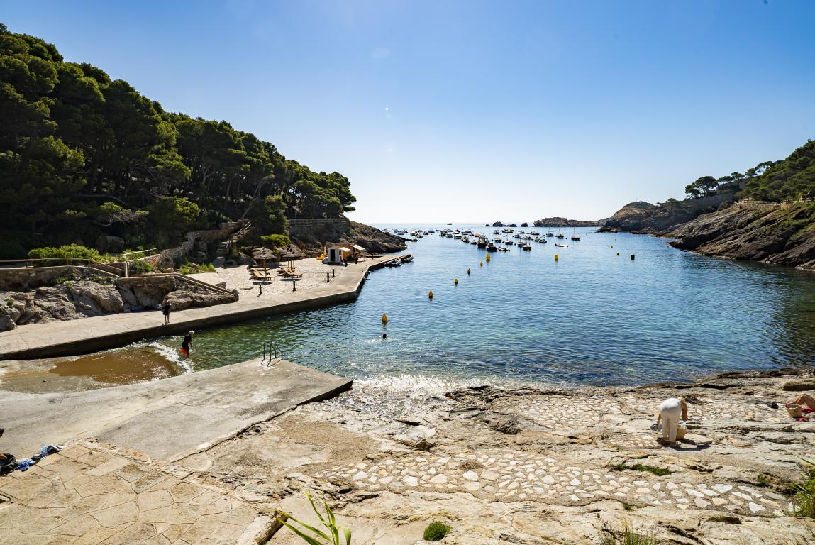 Cala Aiguafreda, a Begur, és un petit refugi de calma entre pins, roques i aigües cristal·lines