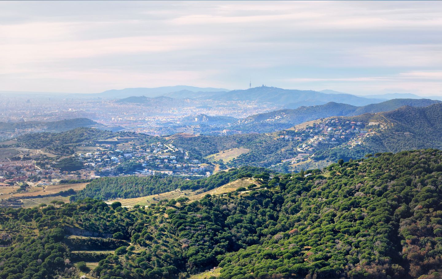 El paisatge agrícola de Barcelona s'ha transformat en els últims anys