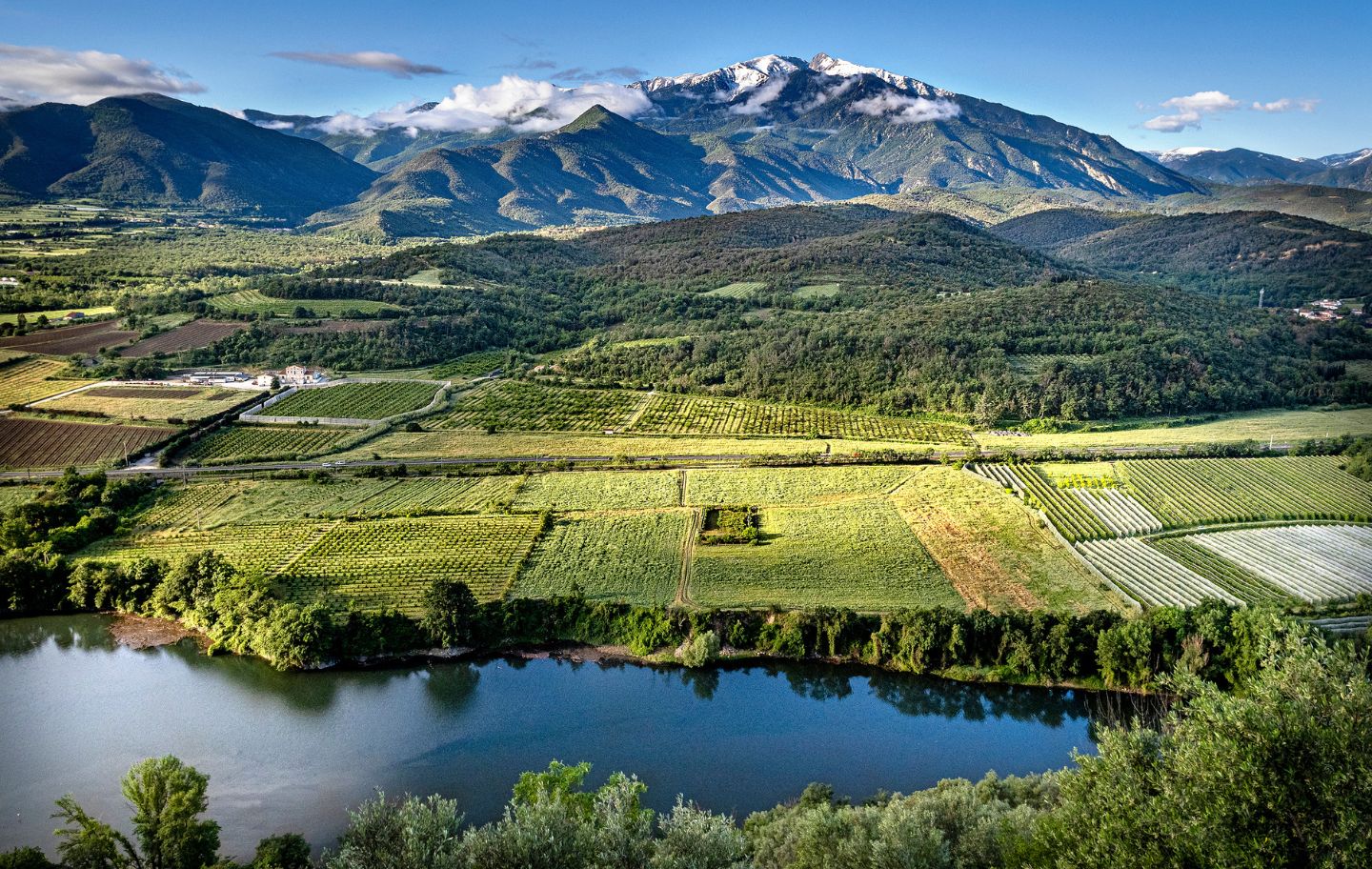 Els camps de conreu i la vegetació de ribera escorten la Tet al seu pas pel Conflent, amb el Canigó al fons