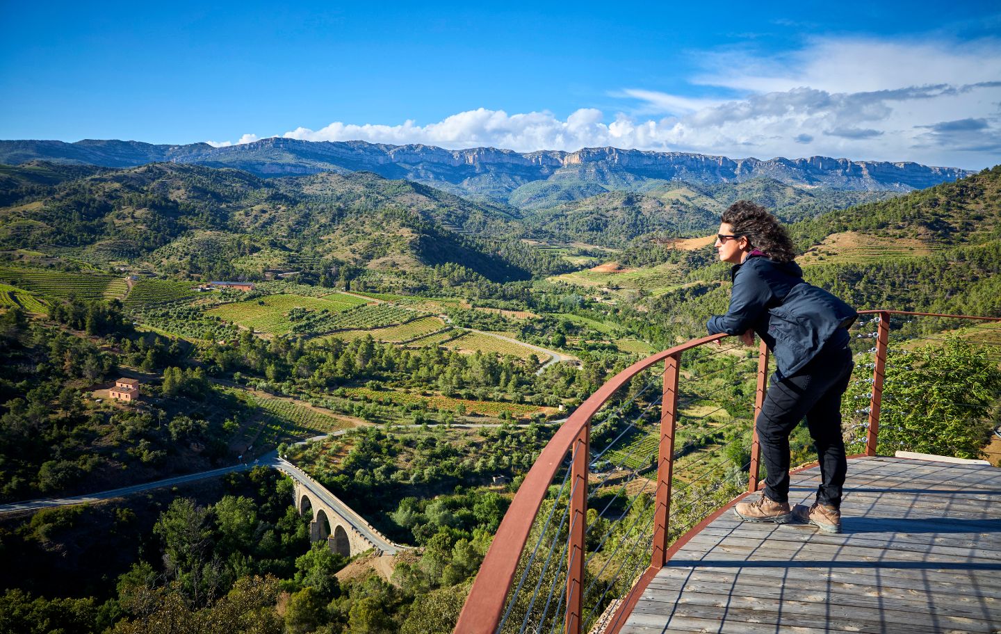 La pagesa i escriptora Júlia Viejobueno observa el Priorat des del mirador de Torroja del Priorat, conegut com 'lo Balconet'