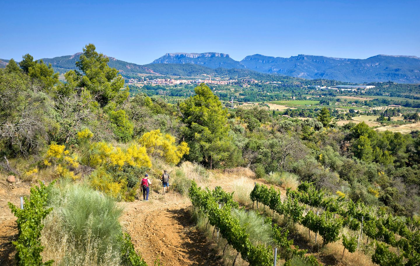 Dues persones pel camí de Gratallops a Falset, al fons