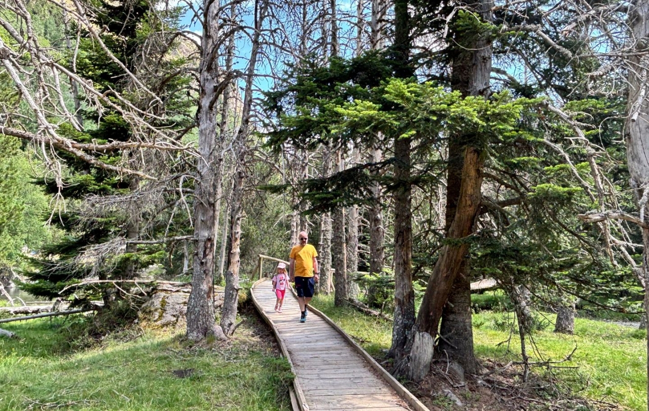 La Tanit camina amb el pare per una de les passarel·les del planell d'Aigüestortes La Tanit camina amb el pare per una de les passarel·les del planell d'Aigüestortes