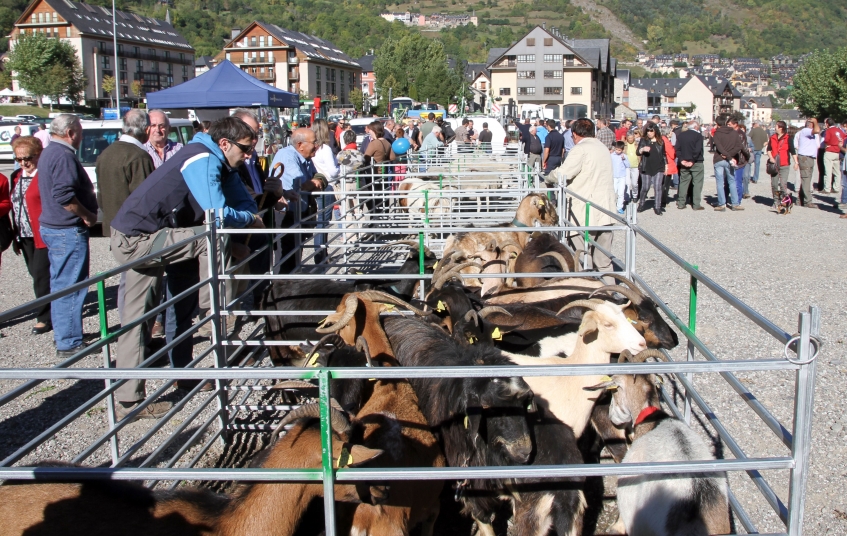 Les fires ramaderes són una oportunitat única per endinsar-se en les tradicions de la vall