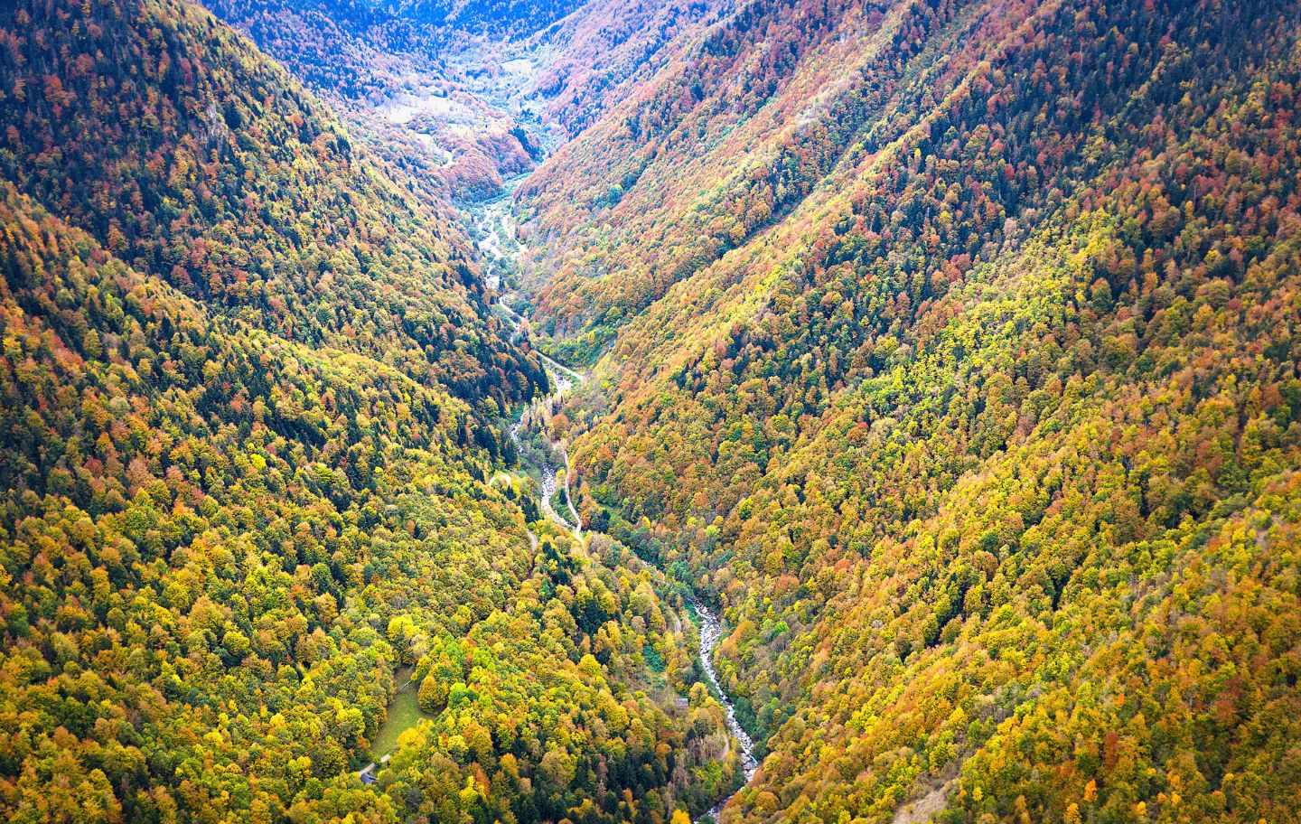Les aigües del Joeu s'obren camí entre boscos de tardor