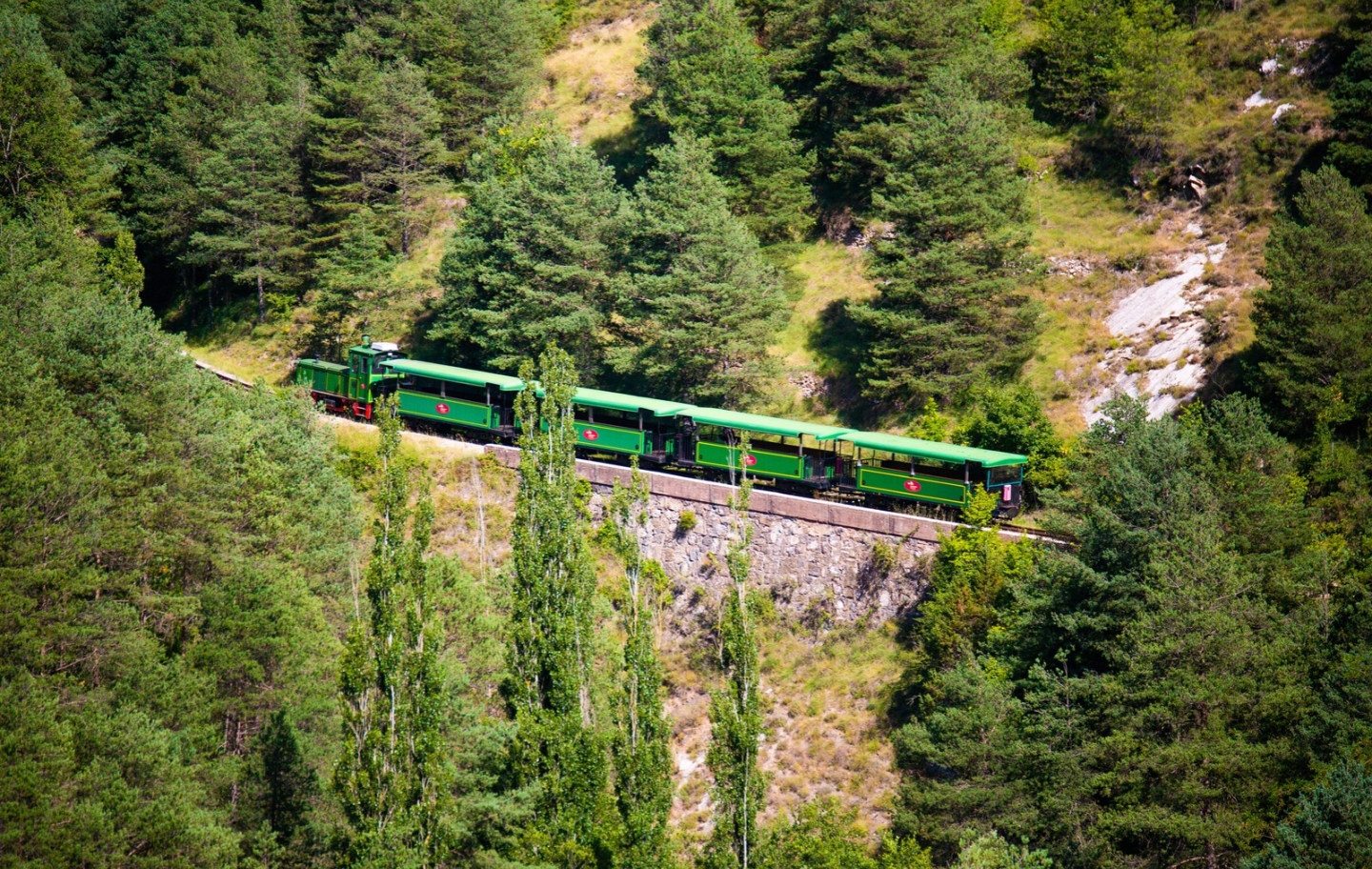 El Tren del Ciment permet gaudir d'un autèntic viatge en el temps El Tren del Ciment permet gaudir d'un autèntic viatge en el temps