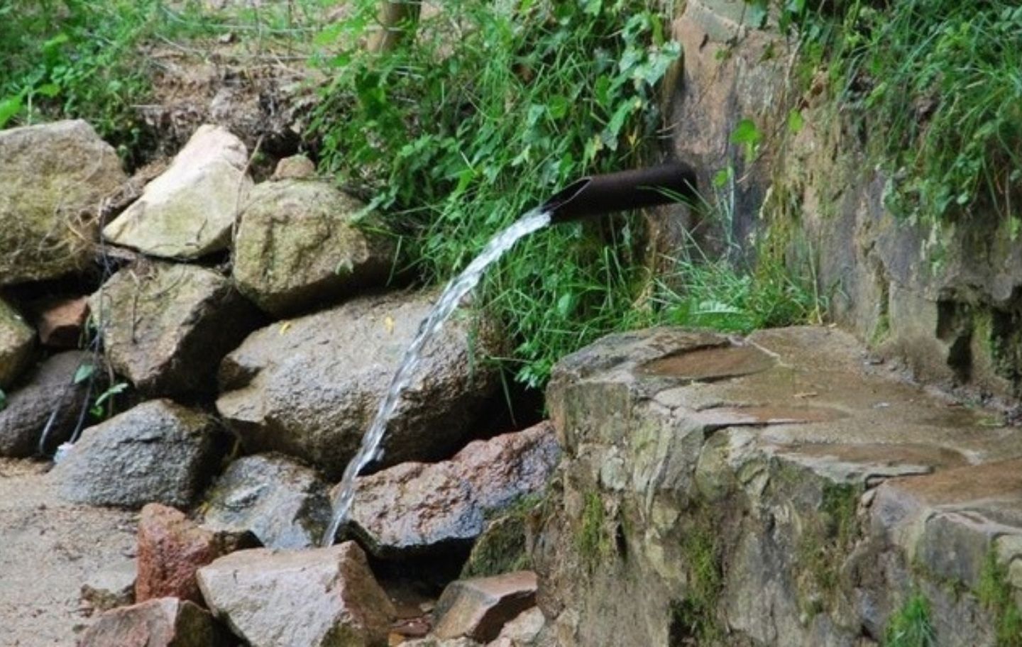 La font de les Paitides té el cabal d'aigua més gran de tot Viladrau