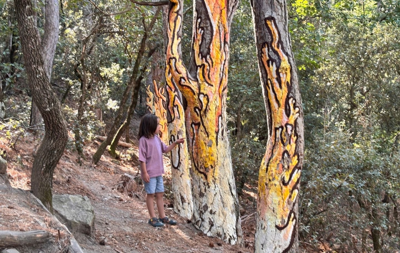 En Roc al bosc pintat de Poblet amb els bolets que decoren els arbres