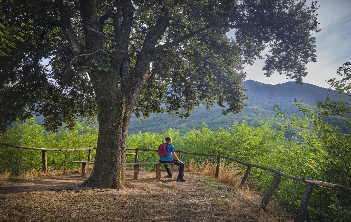 El paisatge boscós és un dels grans atractius del Montseny
