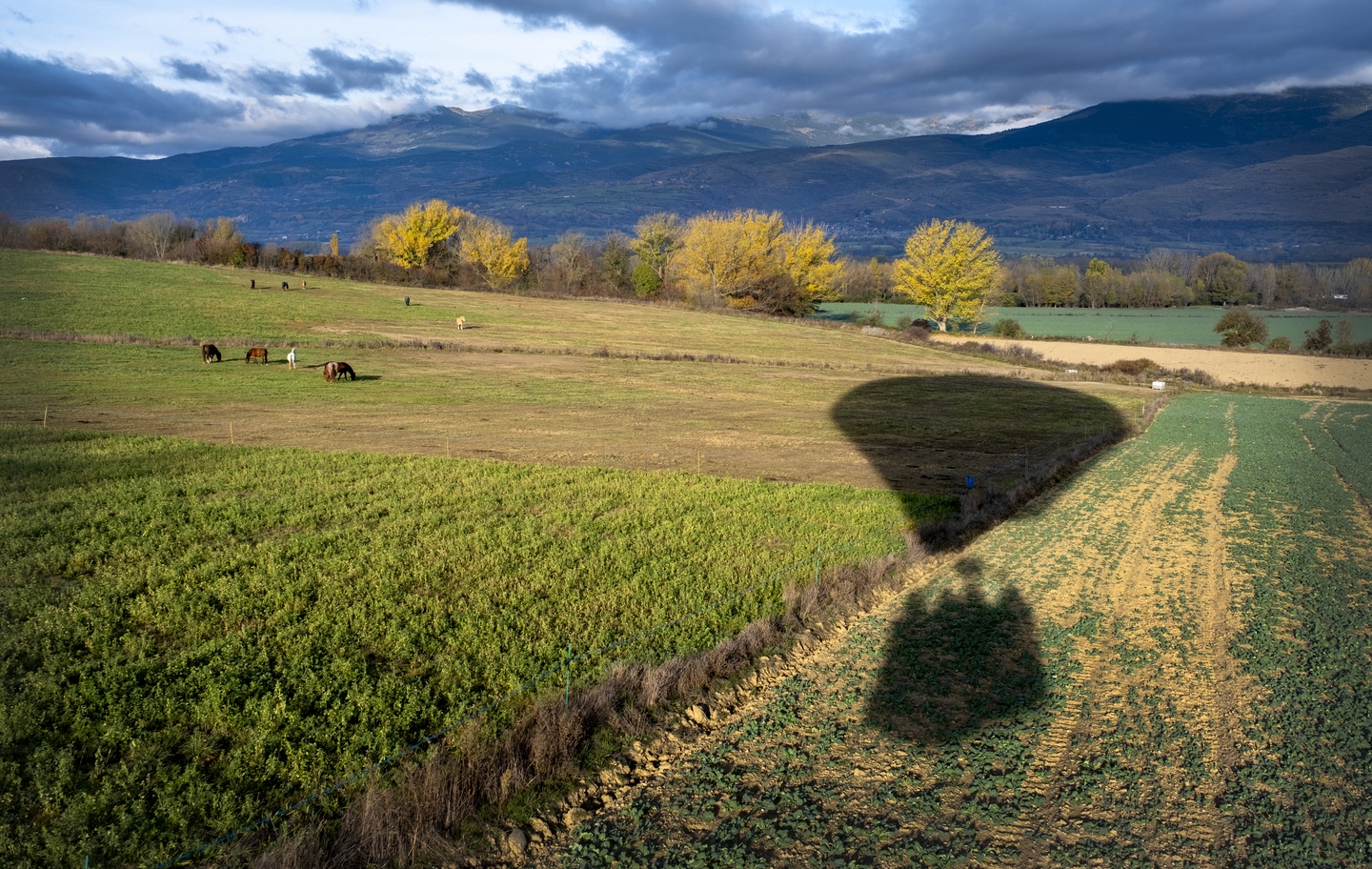 L'ombra del globus es deixa veure sobre els camps i les pastures cerdanes.
