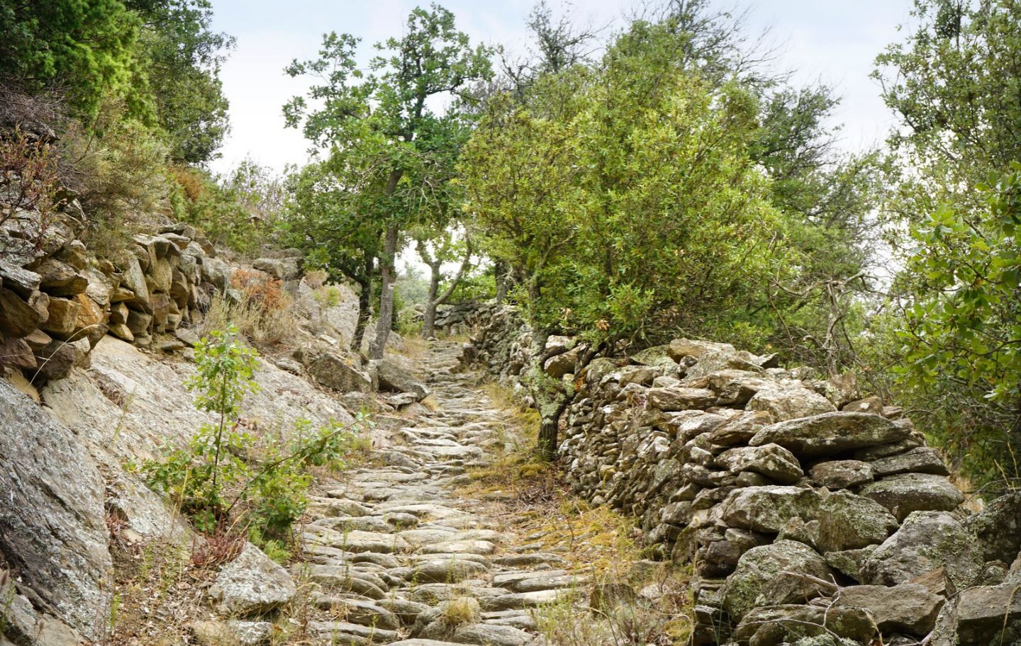 Aquesta ruta dona a conèixer als més petits els paisatges i l’organització de la vida agrícola a la vall de la Tet